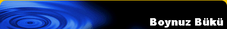 Boynuz Bk